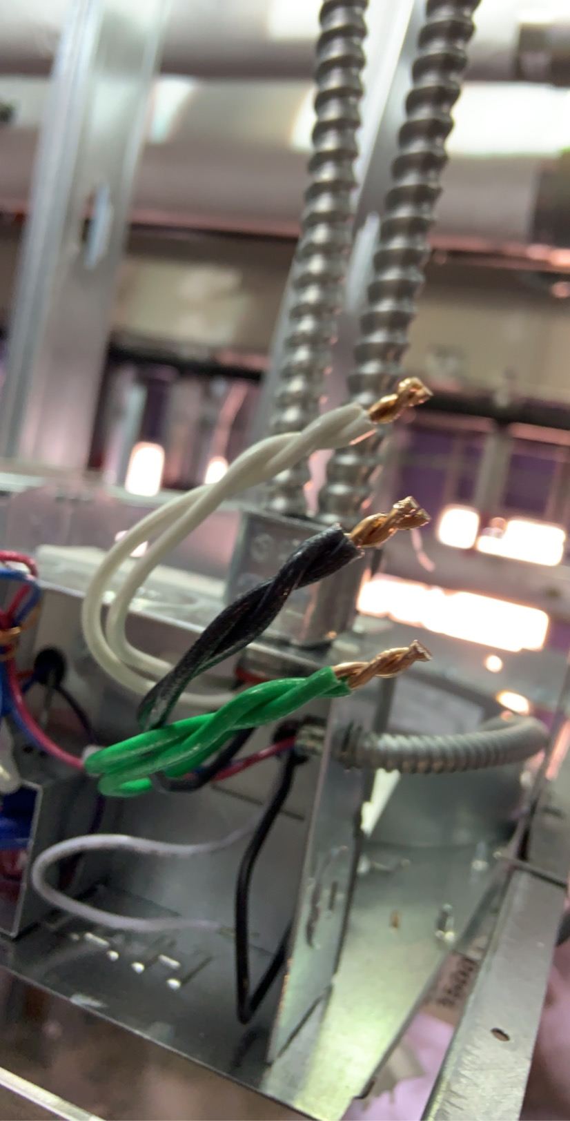 Close-up of stripped and twisted wire terminations